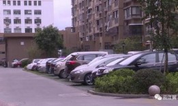 小区爆料家暴事件案例最新,邻里安全谁来守护？